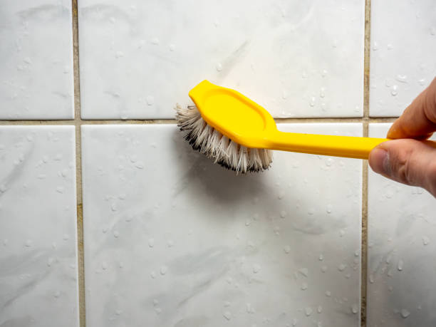 Best Residential Mold Removal  in Dunsmuir, CA