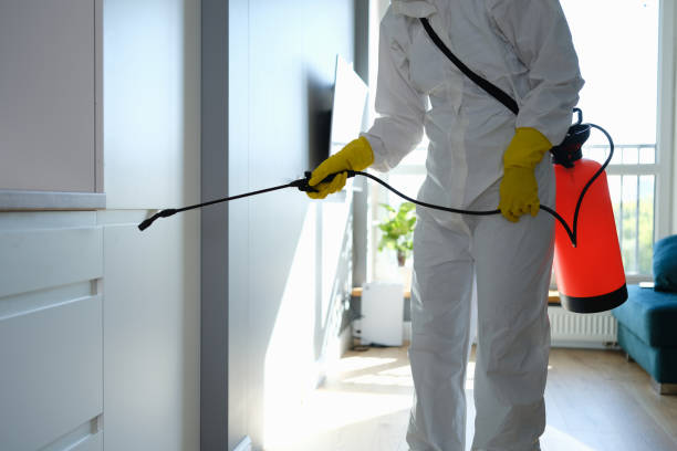 Best Certified Mold Removal  in Dunsmuir, CA