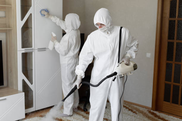 Best Toxic Mold Removal  in Dunsmuir, CA