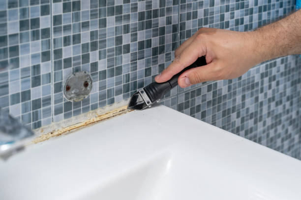 Best Same-Day Mold Removal  in Dunsmuir, CA