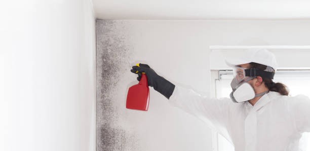 Best Professional Mold Removal  in Dunsmuir, CA