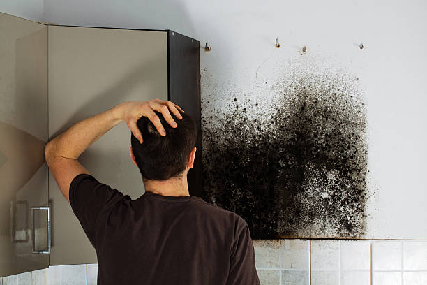 Best Residential Mold Removal  in Dunsmuir, CA
